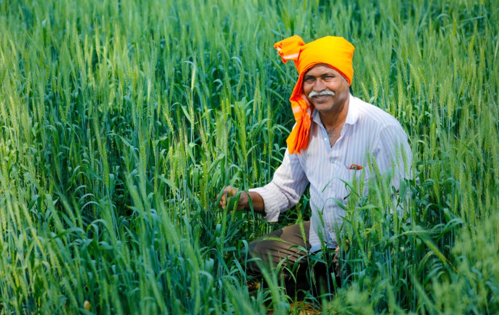 Farmer in field with B-Bio Seeds